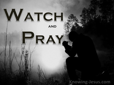 Matthew 26:41 Watch And Pray (gray)